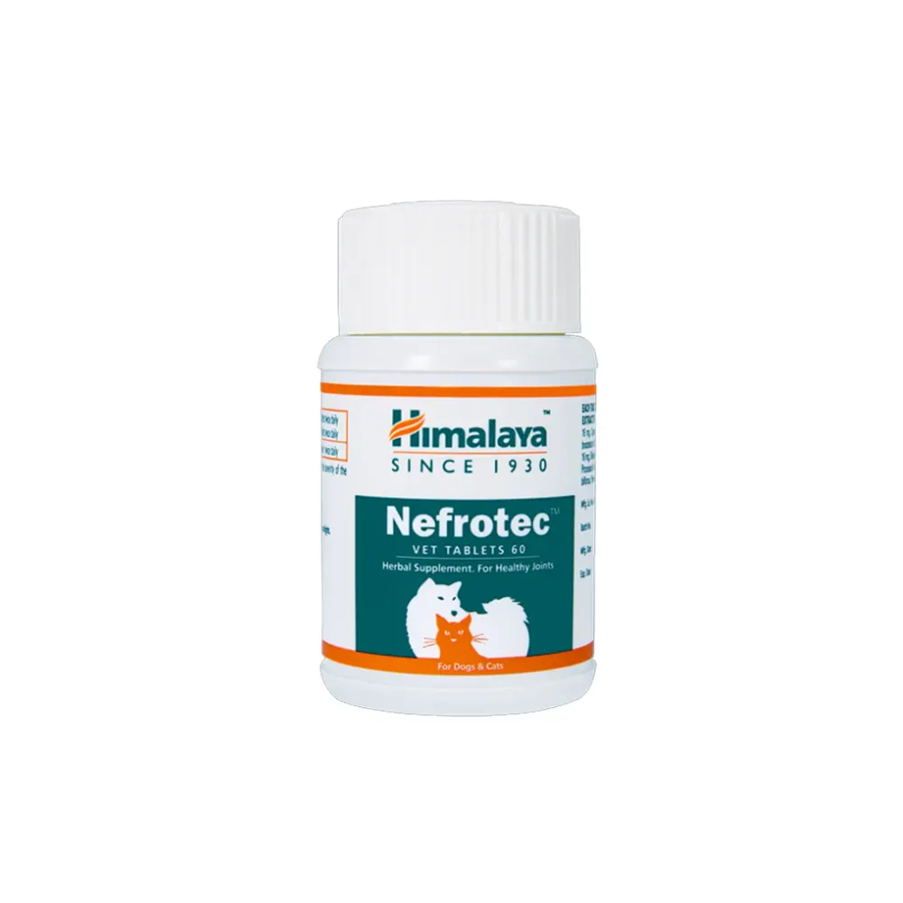 Himalaya Nefrotec DS Kidney Support Tablet - 60tabs