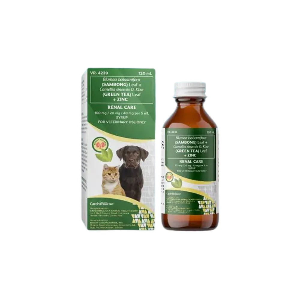 Renal Care Sambong Kidney Syrup
