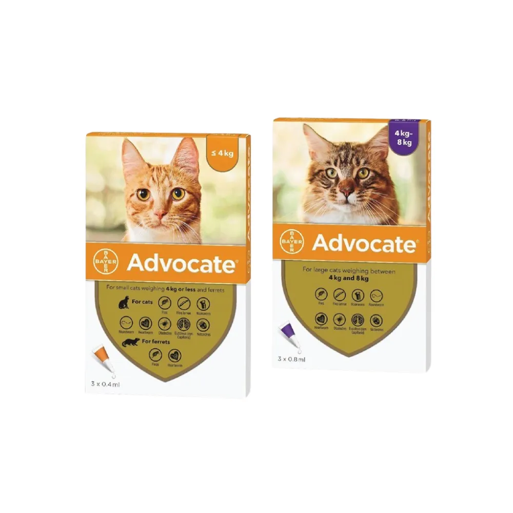 Advocate Spot-On Anti-Tick & Flea for Cats - Box of 3