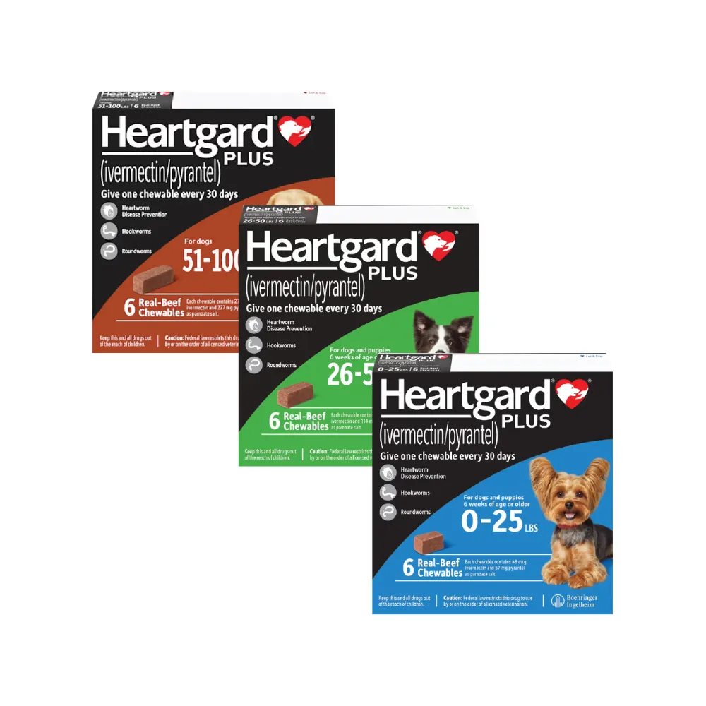 HeartGard Heartworm Preventive Chews 6pcs (0-11kg)