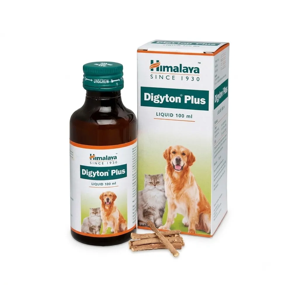 Himalaya Digyton Plus Digestive Support Syrup 100ml