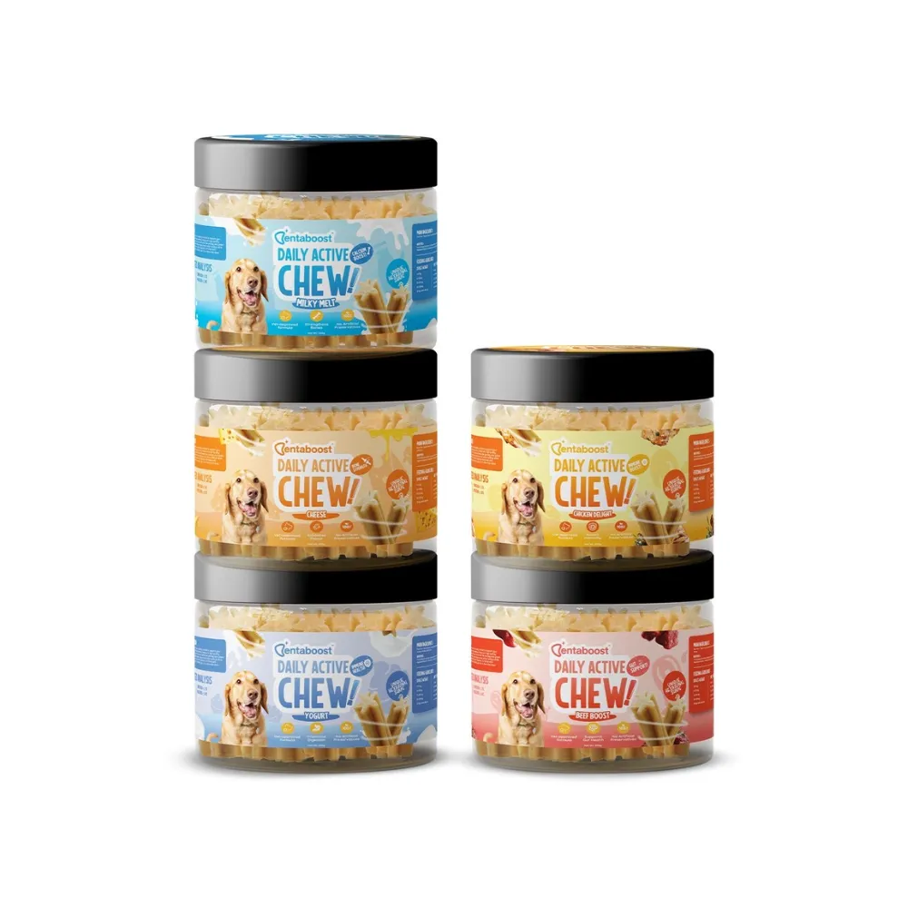 Dentaboost Daily Active Chew Dental Sticks Jar 220g (Beef Boost)
