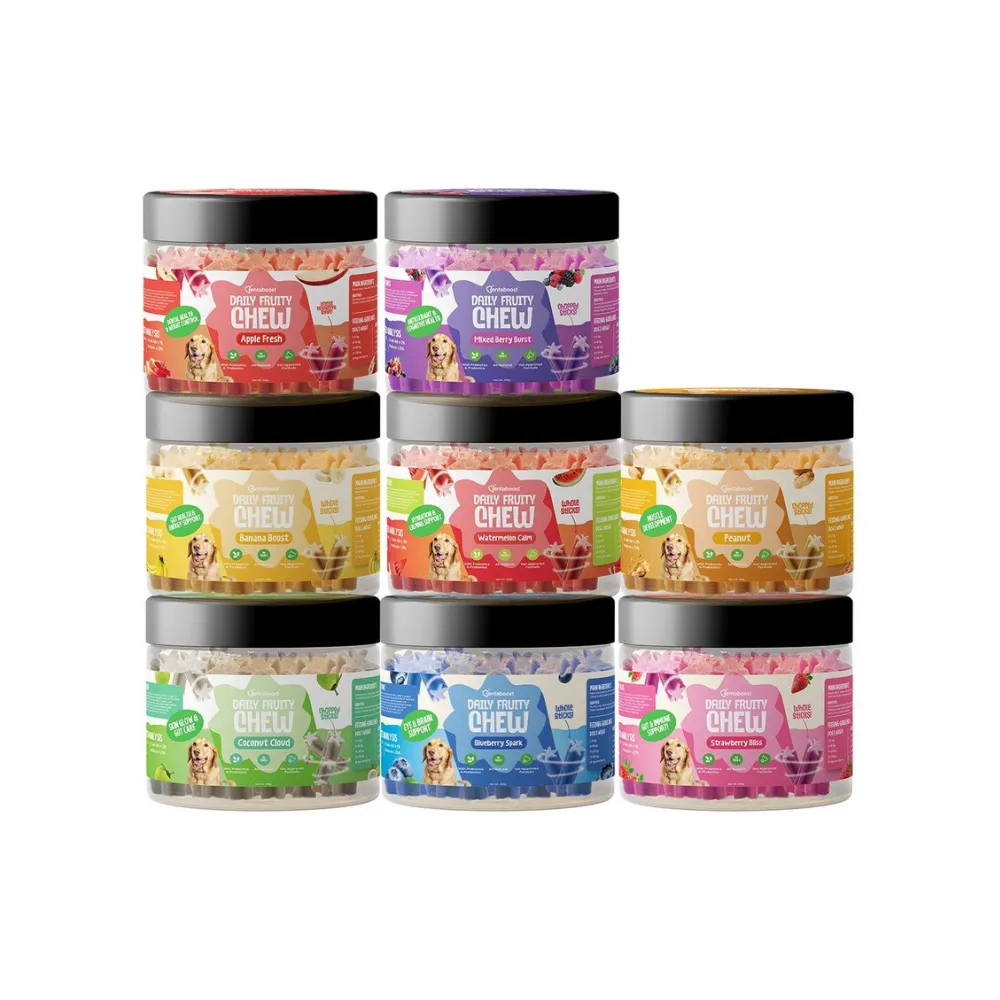 Dentaboost Daily Fruity Chew Dental Sticks Jar 220g (Strawberry Bliss)