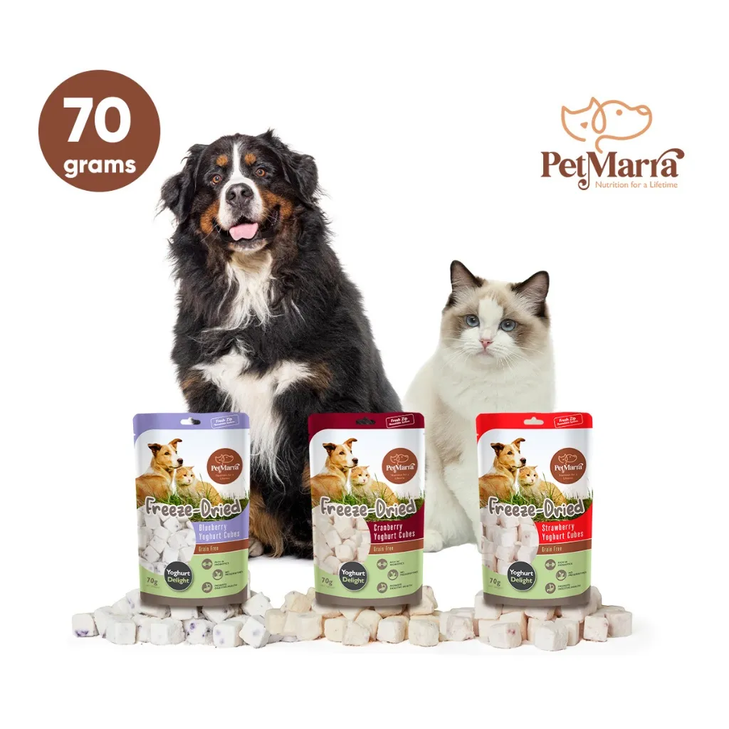 Petmarra Freeze Dried Yogurt Cubes for Cat and Dogs (Blueberry)
