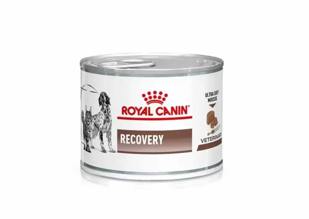 Royal Canin Recovery Can (195g x 12)