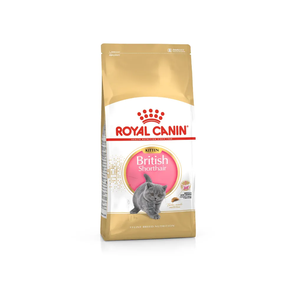 Royal Canin British Shorthair Kitten