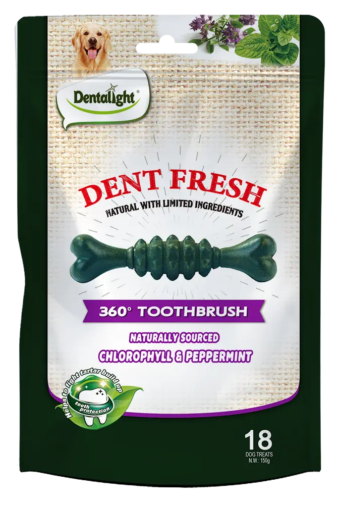 Dentalight Dent Fresh