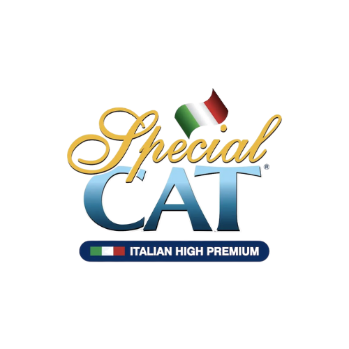 Special Cat