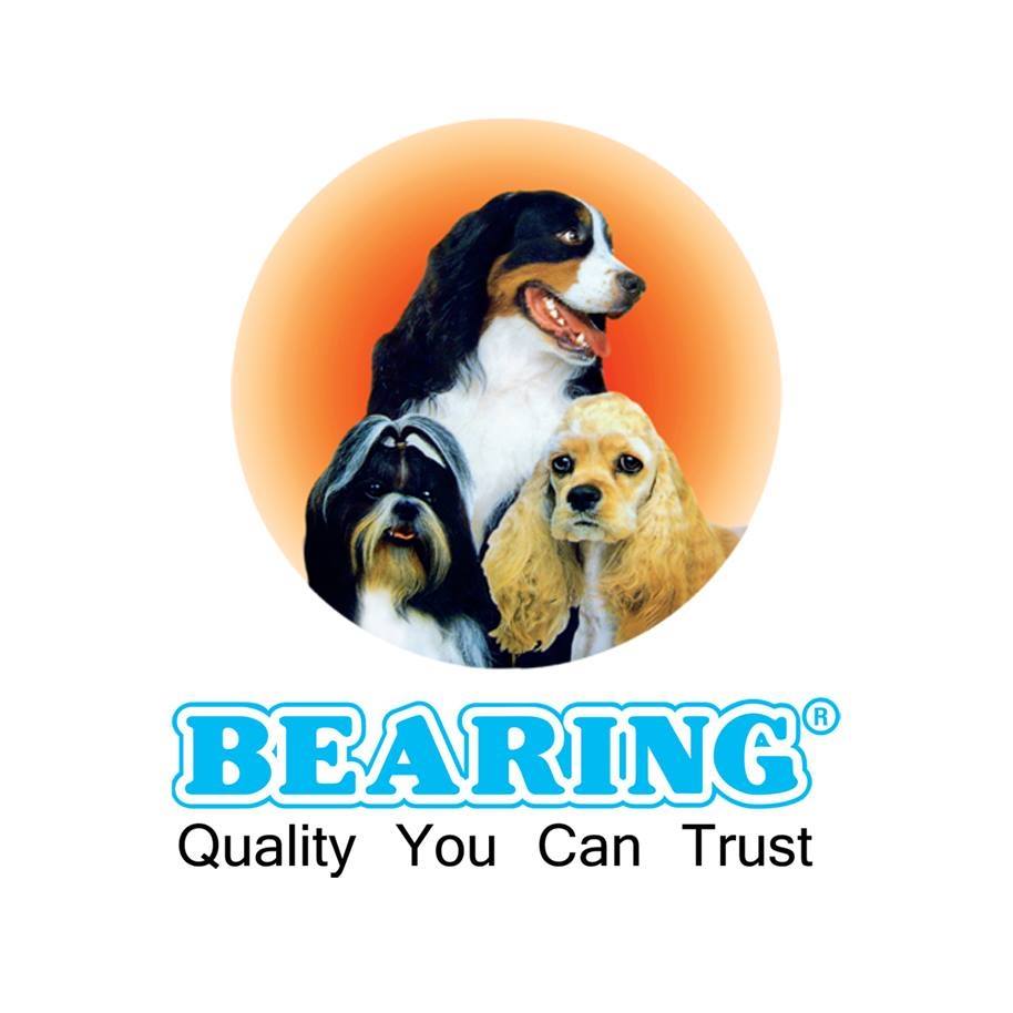 Bearing